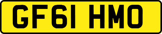 GF61HMO