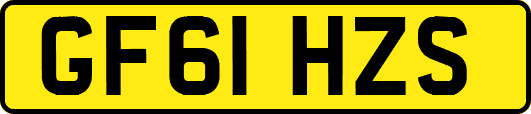 GF61HZS