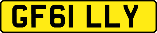 GF61LLY
