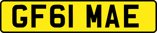GF61MAE
