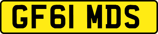 GF61MDS