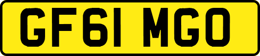 GF61MGO