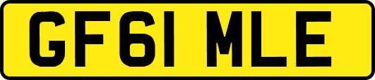 GF61MLE