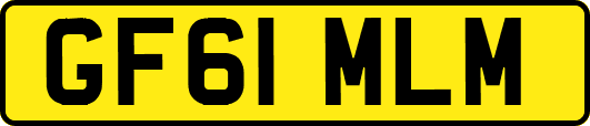 GF61MLM