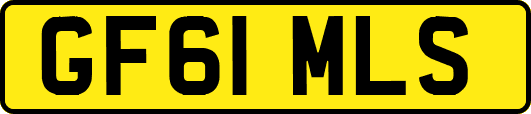 GF61MLS