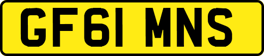 GF61MNS