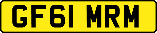 GF61MRM