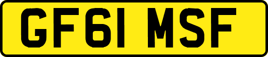 GF61MSF