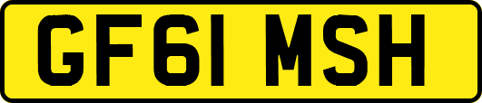 GF61MSH
