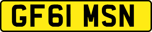 GF61MSN