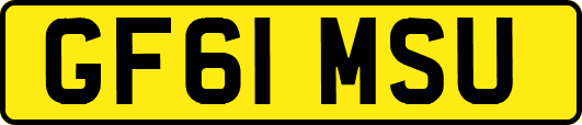 GF61MSU