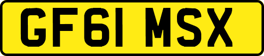 GF61MSX