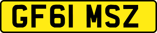 GF61MSZ