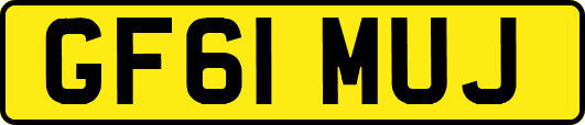 GF61MUJ