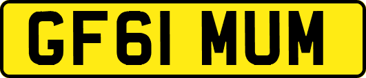 GF61MUM