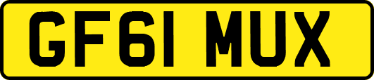 GF61MUX