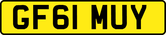 GF61MUY