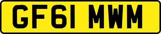 GF61MWM