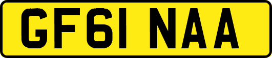 GF61NAA