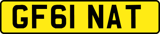 GF61NAT