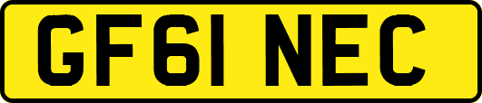 GF61NEC