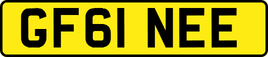 GF61NEE