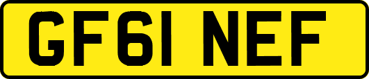 GF61NEF