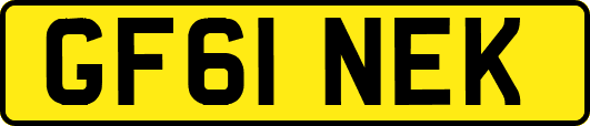 GF61NEK