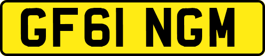 GF61NGM