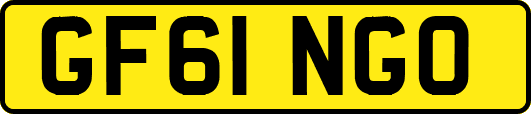 GF61NGO
