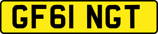 GF61NGT