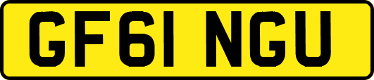 GF61NGU