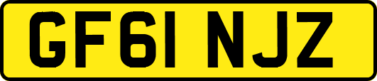 GF61NJZ