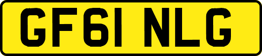GF61NLG