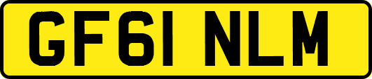 GF61NLM