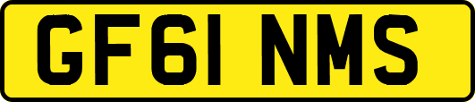 GF61NMS
