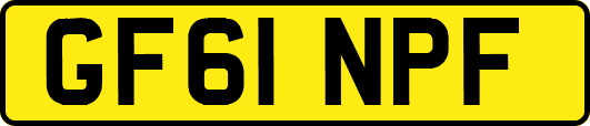 GF61NPF
