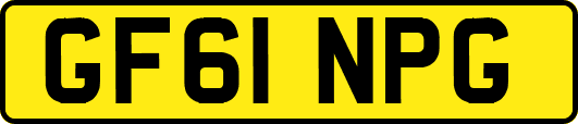 GF61NPG