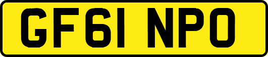 GF61NPO