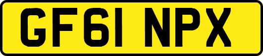 GF61NPX