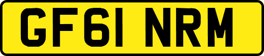 GF61NRM