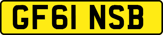 GF61NSB