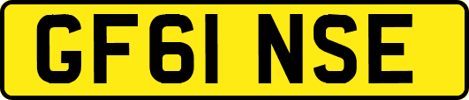 GF61NSE