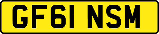 GF61NSM