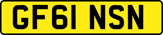 GF61NSN