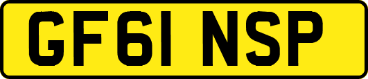 GF61NSP