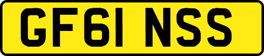 GF61NSS