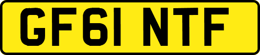 GF61NTF
