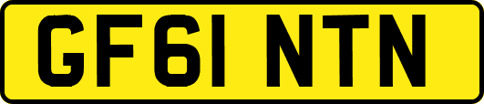 GF61NTN