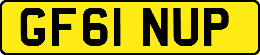 GF61NUP